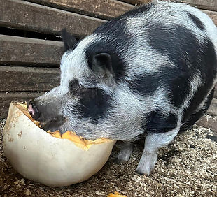 398659783_10220862650910659_8988453448119089749_n (1).jpg