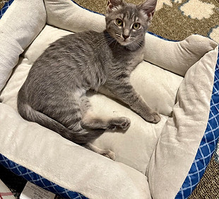 403641508_835120428352965_6982123368049404784_n (1).jpg