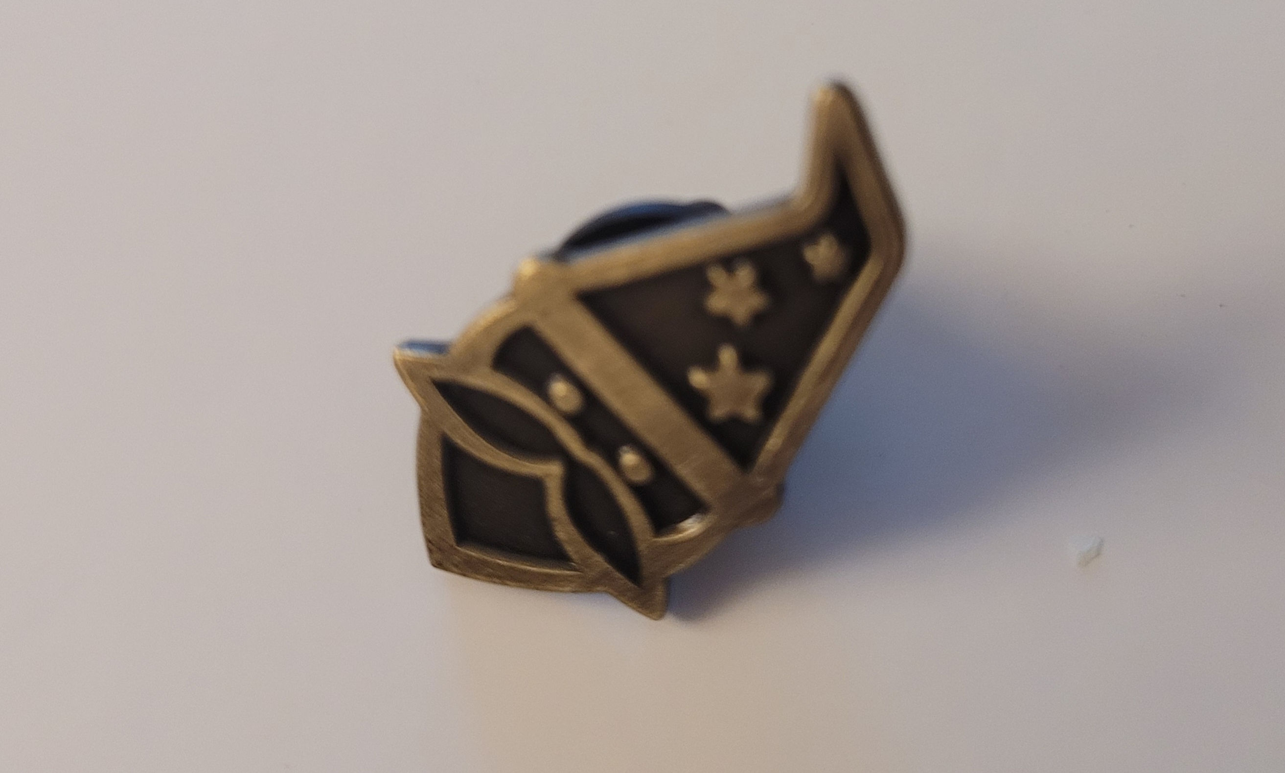 Wizard Diestruck Antique Finish Black and Gold Tone Pin 