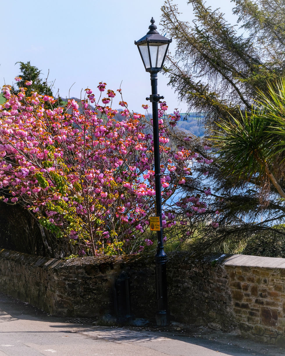 2022_0420_19052200-01