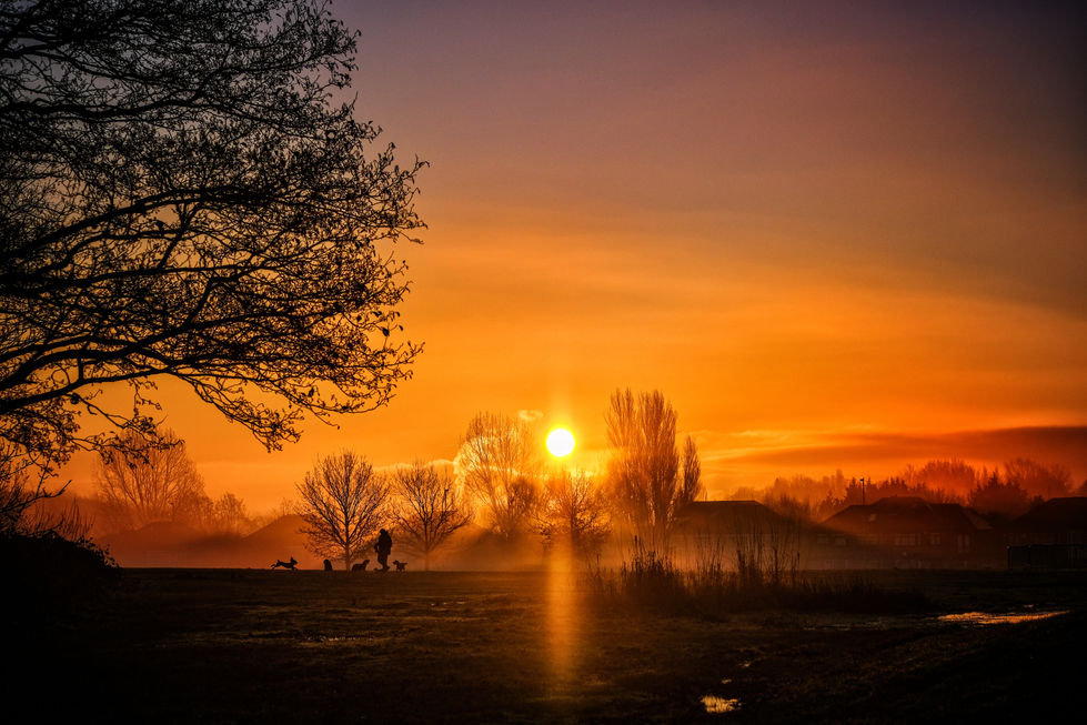 Heaton Park at sunrise. Lovely yellow and orange colours captured