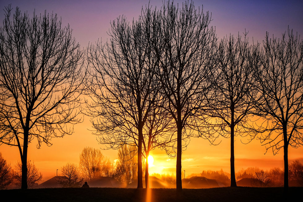 Heaton Park at sunrise. Lovely yellow, orange and purple colours captured
