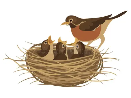 Protect the Nest!