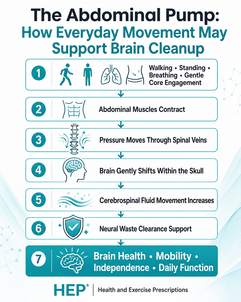 How Abdominal Movement May Help the Brain Clear Waste