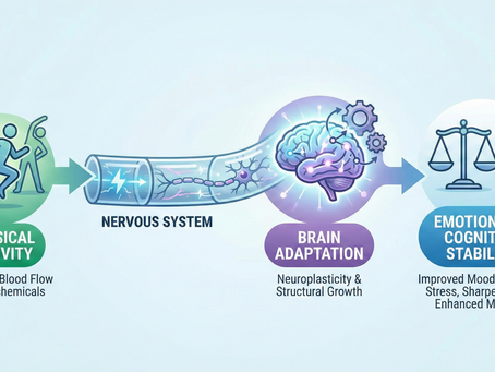Exercise Is Brain Medicine: How Movement Rebuilds Memory, Focus, and Emotional Resilience