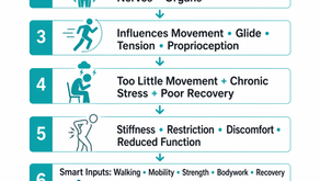 Exercise and Cortisol: How Consistent Movement Helps Regulate Stress Biology