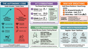 The Science of Breathwork: How 4-7-8, Wim Hof, and Yogic Pranayama Rewire Your Nervous System