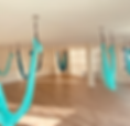 shala hammock_edited.png