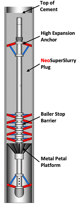 NeoWideRange Bridge Plug