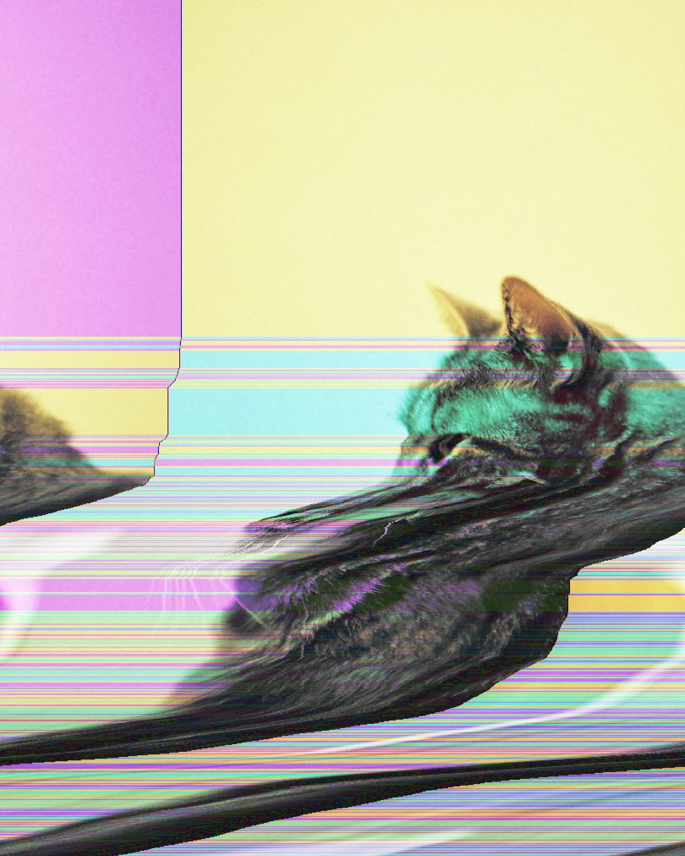 Glitch Cat Print