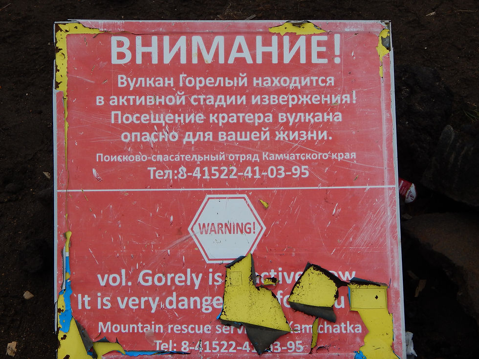 Многообещающее начало