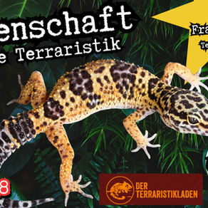 Leidenschaft für die Terrariatik mit Frank vom Terraristikladen (Folge 28)