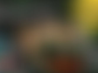 Leidenschaft für die Terrariatik mit Frank vom Terraristikladen (Folge 28)