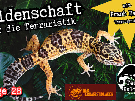 Leidenschaft für die Terrariatik mit Frank vom Terraristikladen (Folge 28)