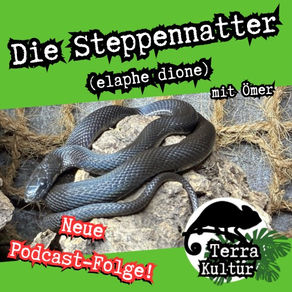 Die nächste Podcastfolge