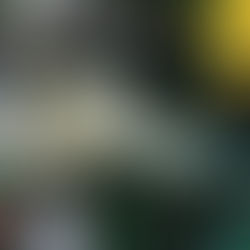 Neue Podcastfolge! #27