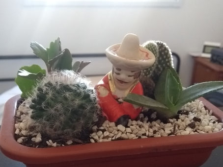 Amizades são Plantas.