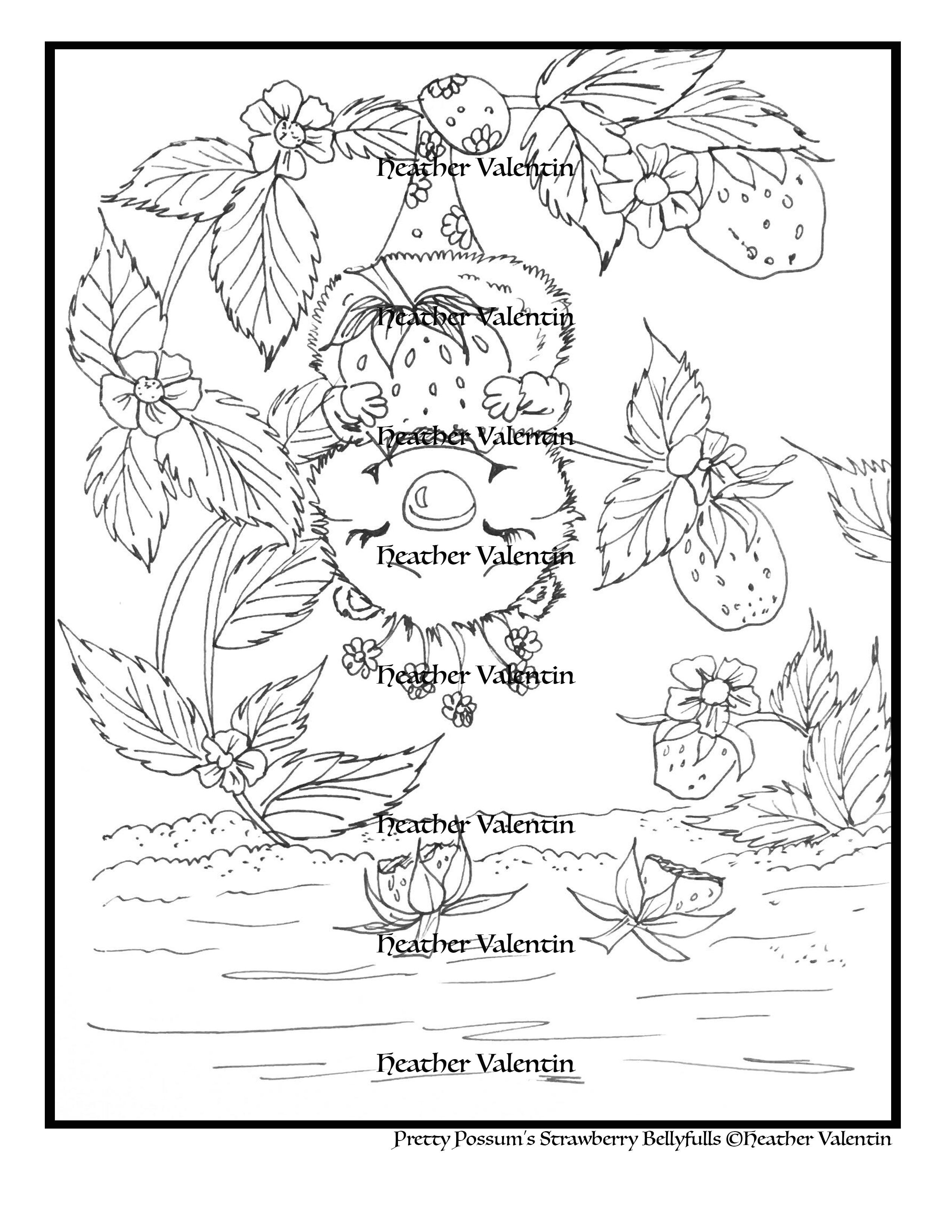 Pretty Possum's Strawberry Bellyfulls