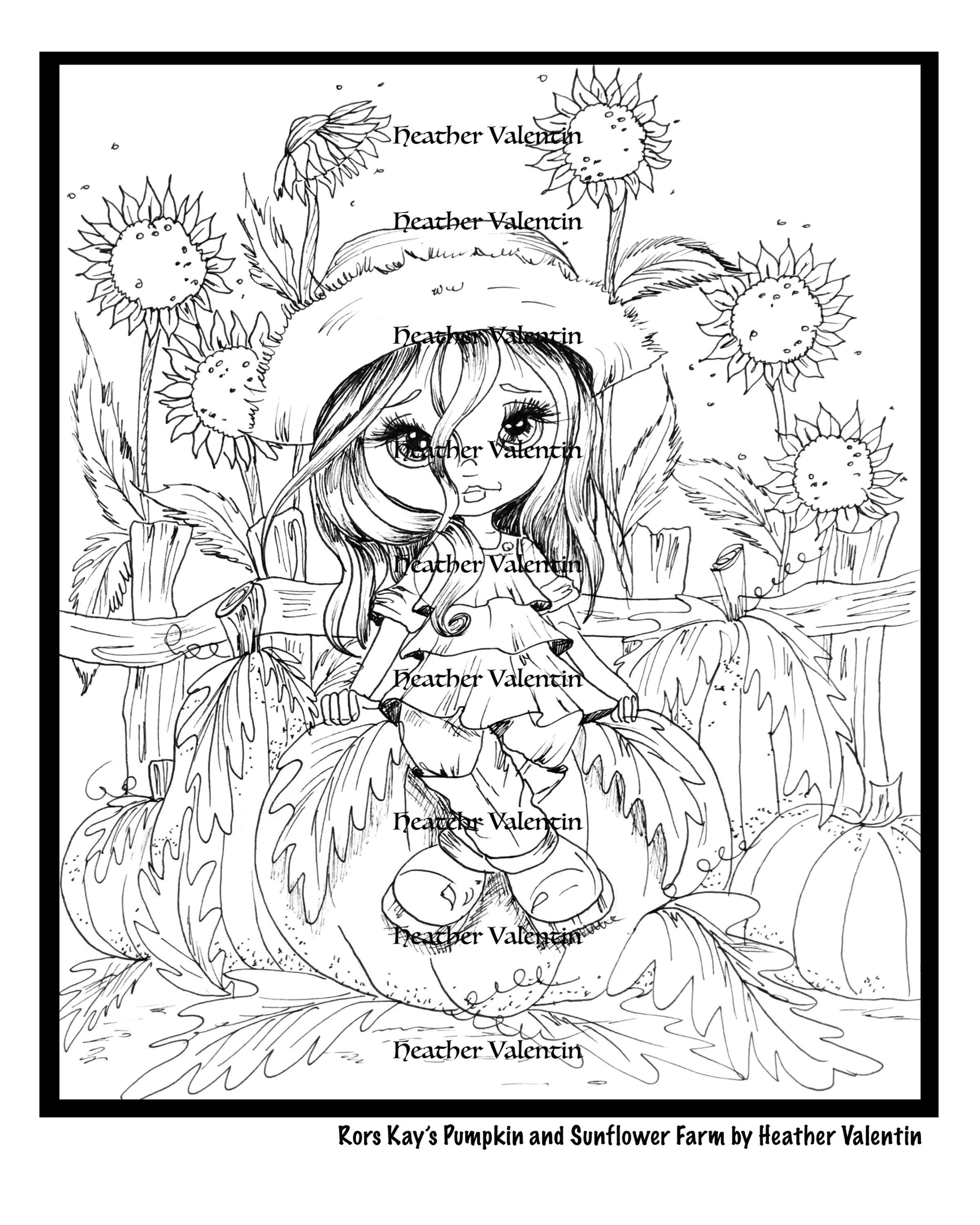 Rory Kay' s Pumpkins and Sunflowers