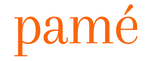 Logo Orange Pamé - Solution Stratégique