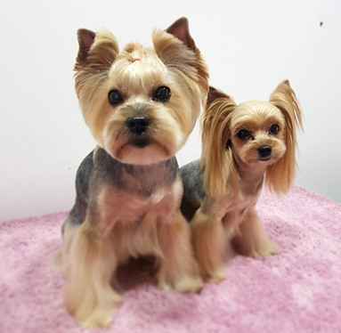 Screenshot_20200301-144301_Instagram_edi