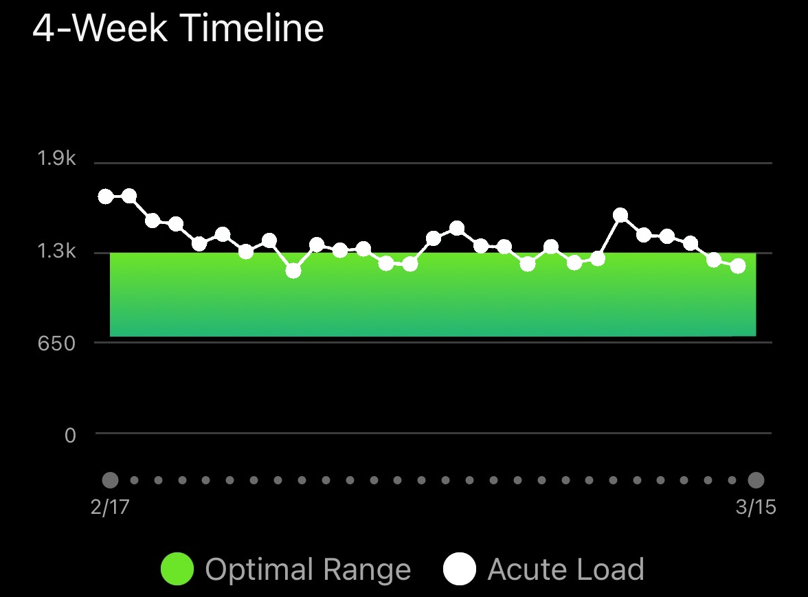 Master Your Training: Understanding Garmin’s Comprehensive Training Metrics