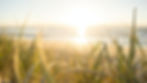Beach Morning Sunlight.jpg