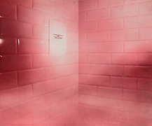 Wet Dirty Print, Megan Reilly