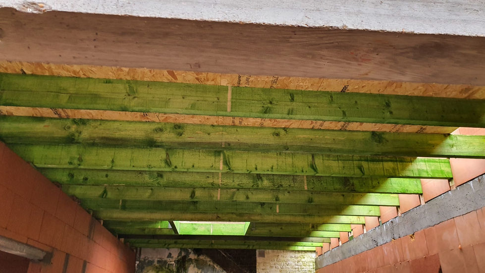 WhatsApp Image 2026-01-13 at 08.43.22