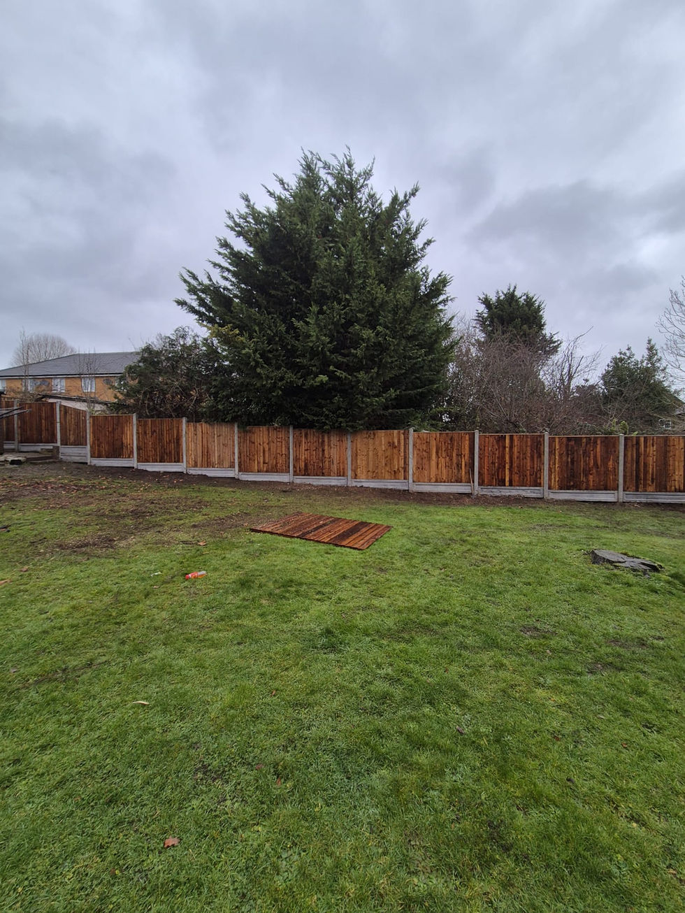 WhatsApp Image 2026-02-05 at 13.28.08 (2)