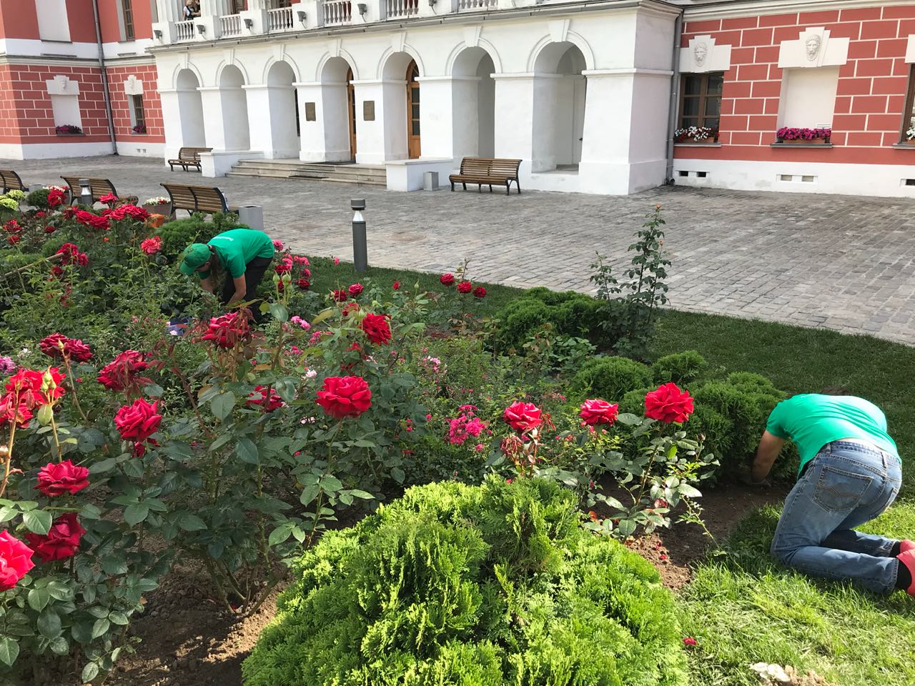 Московские Сады Интернет Магазин