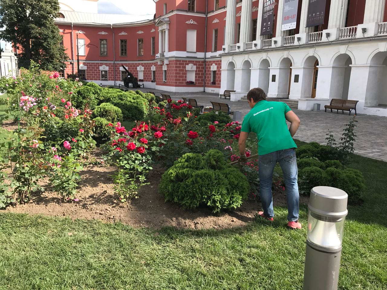 Московские Сады Интернет Магазин