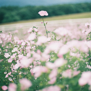 数分間の出来事