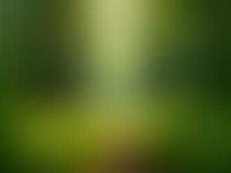 The Importance of Sustainable Living in Today's World