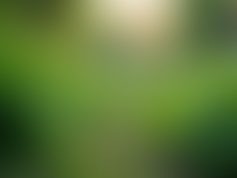 The Importance of Sustainable Living in Today's World