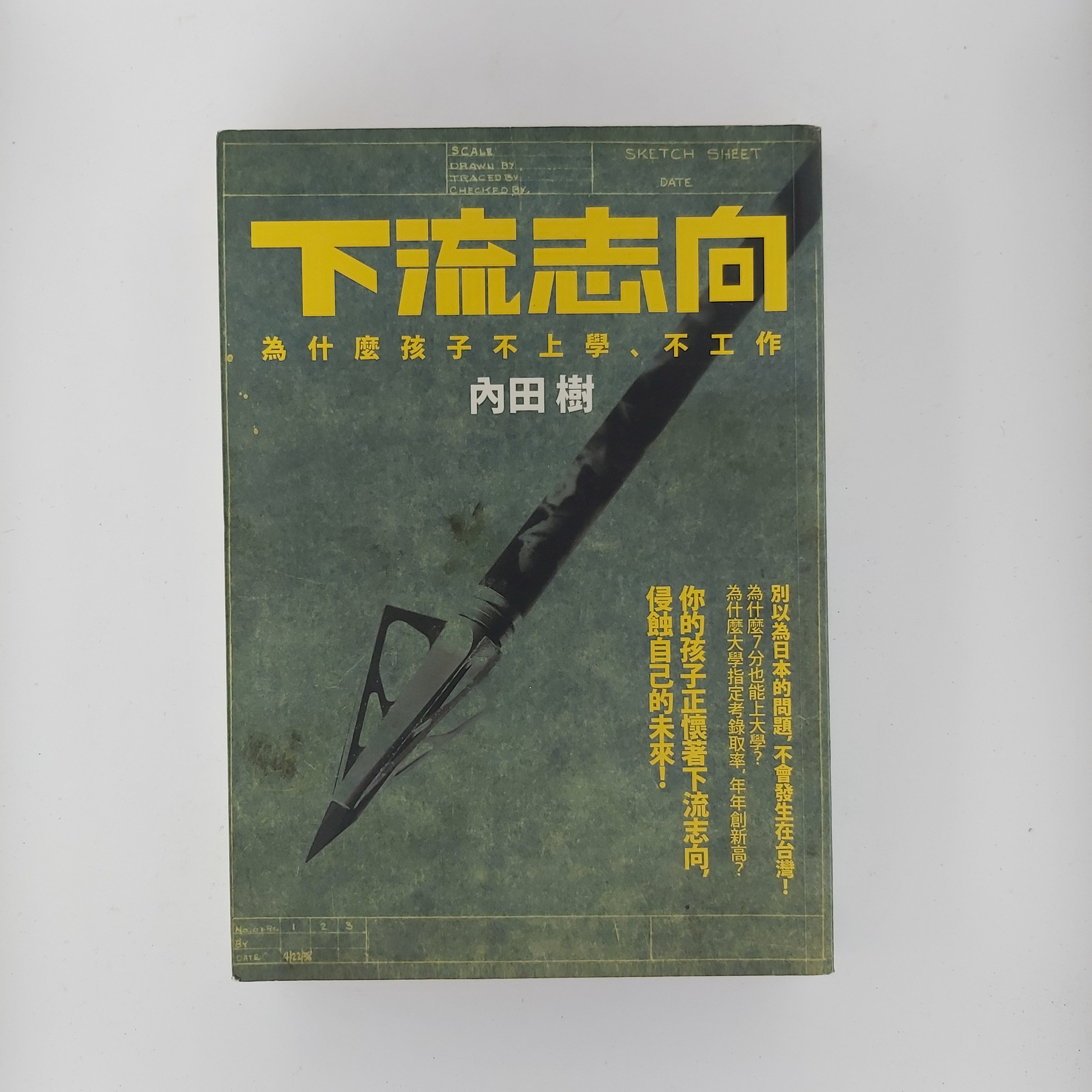 下流志向 為什麼孩子不上學、不工作