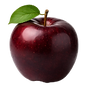 0434a357-158d-4e31-a82c-4fa4b81b04ac_800x_edited.png