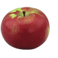 Mcintosh_edited.png
