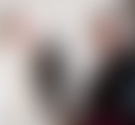 Nomeado o novo Núncio Apostólico para o Brasil