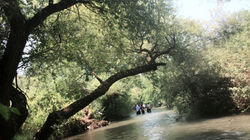 WhatsApp Image 2018-08-27 at 12.09.17