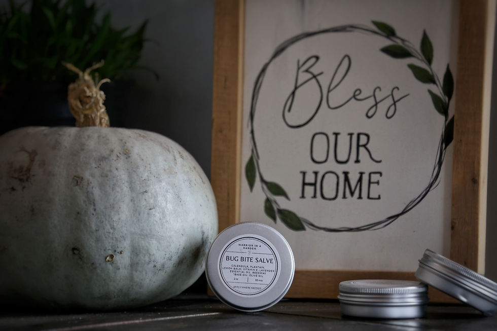 Thumbnail: Herbal Salves