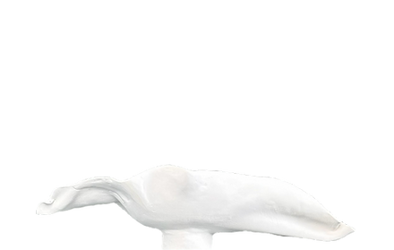 White Lotus Vase Back View