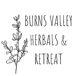 Burns Valley logo.png