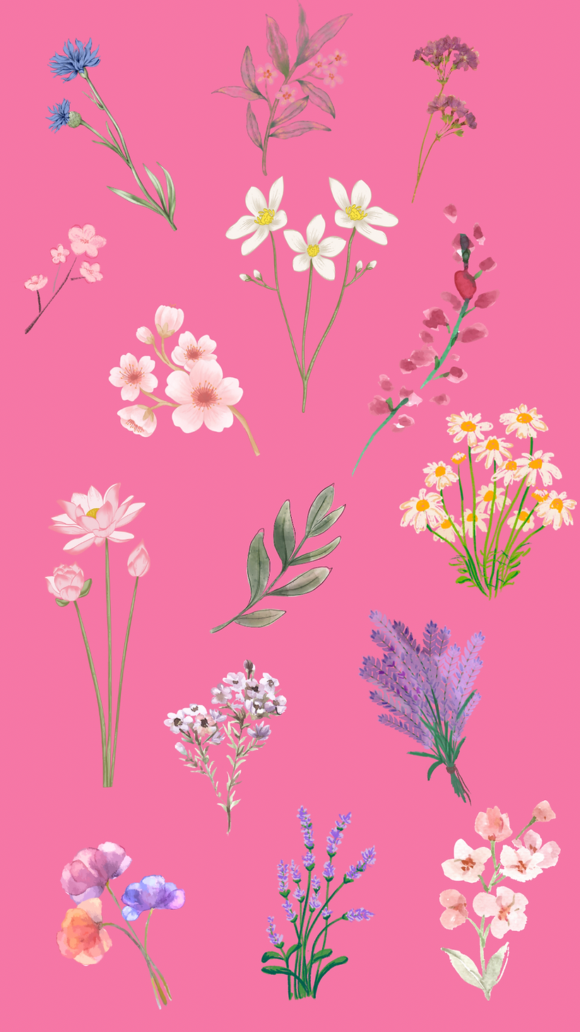 Untitled design (2).PNG