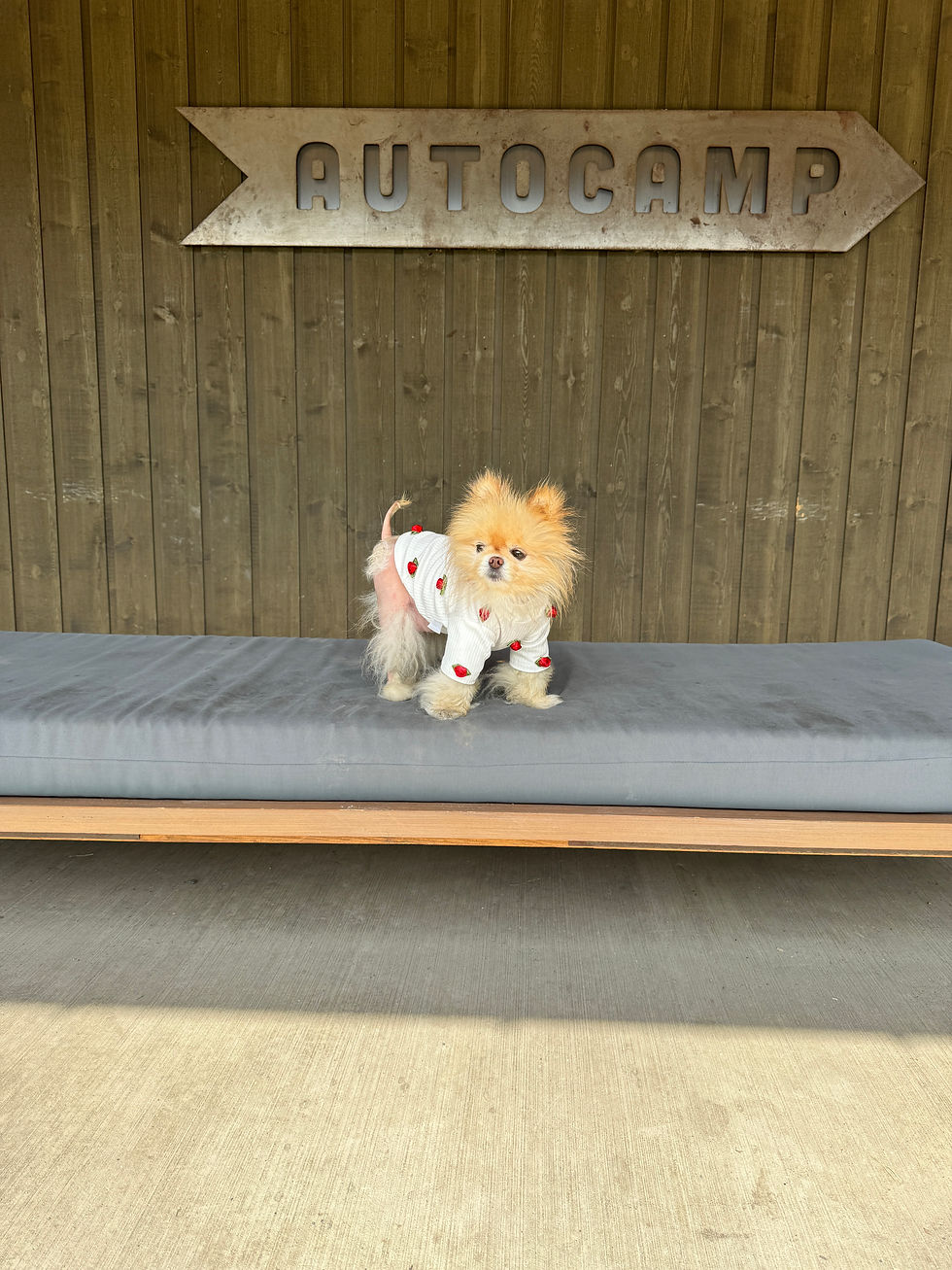 Welcome to AutoCamp Catskills