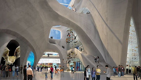 amnh-design4.jpeg