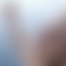 🌿 מהפסגה - אל הדרך החדשה