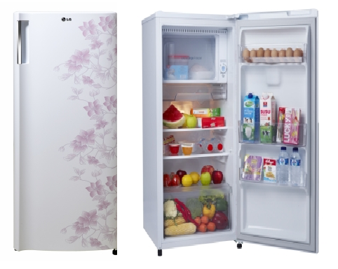LG KULKAS 1PINTU