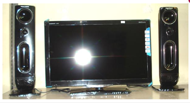 POLYTRON 24"