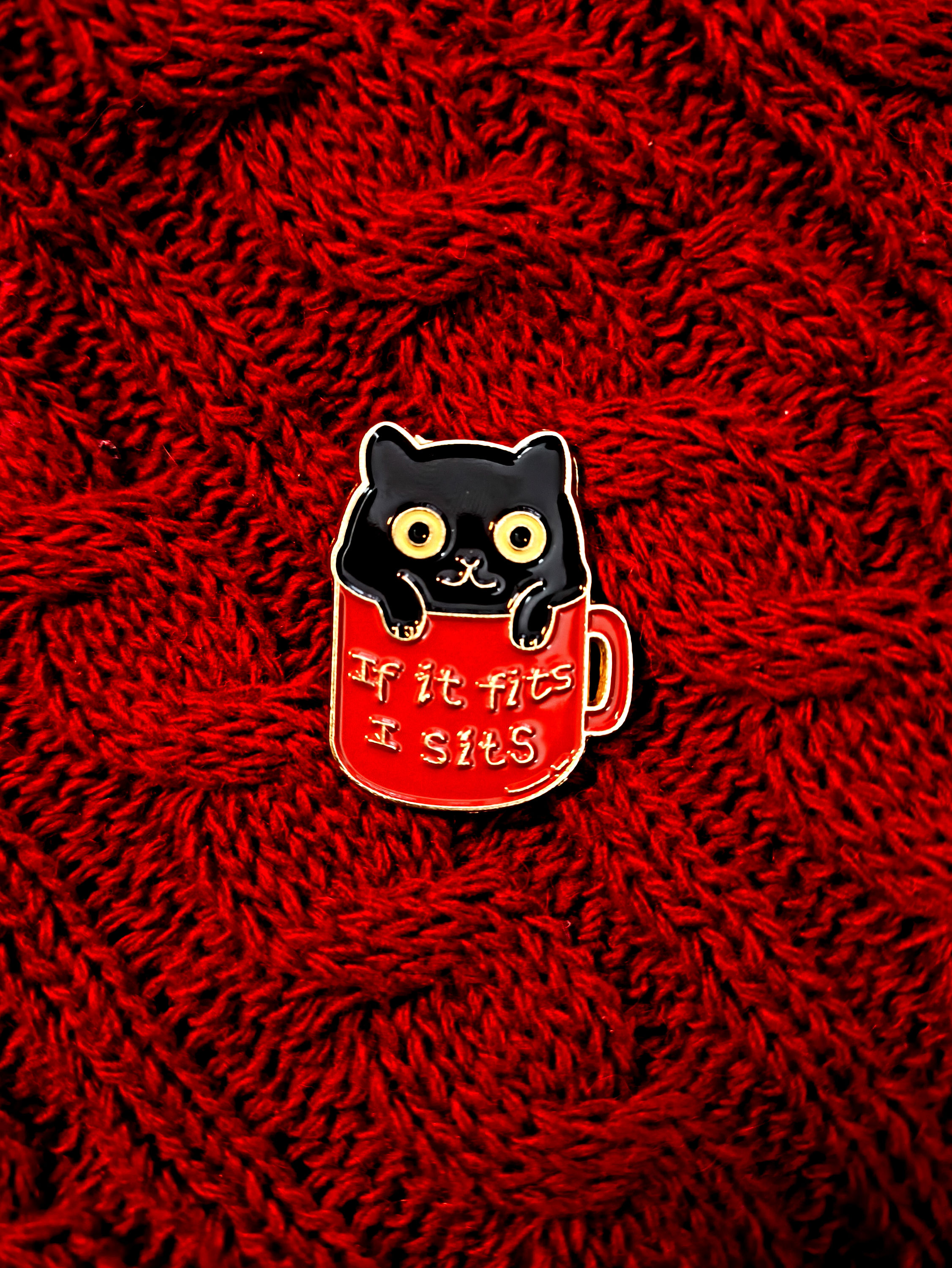 Pin Metálico Esmaltado - Enamel - Gatinho Se Cabe Eu Entro